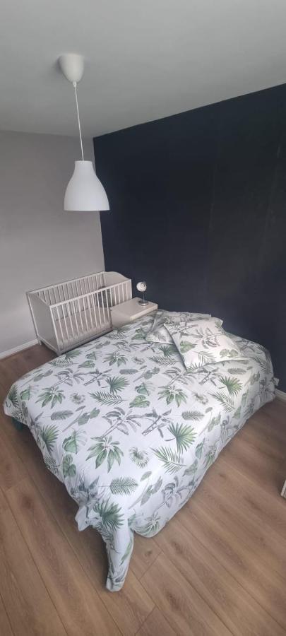 Chez Toni Apartment Troyes Bagian luar foto